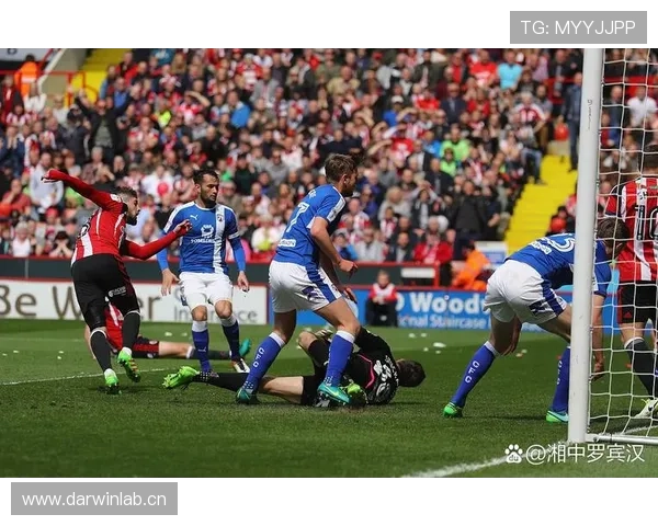 韦斯·弗洛近期状态回暖，助力球队在英超赛场继续赢得胜利