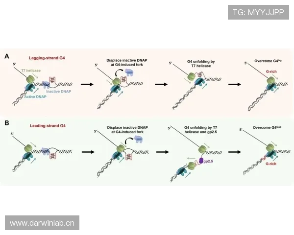 坎塞洛与沃克:技术特点与防守路线对比分析 坎塞洛与沃克:技术特点与防守路线对比分析