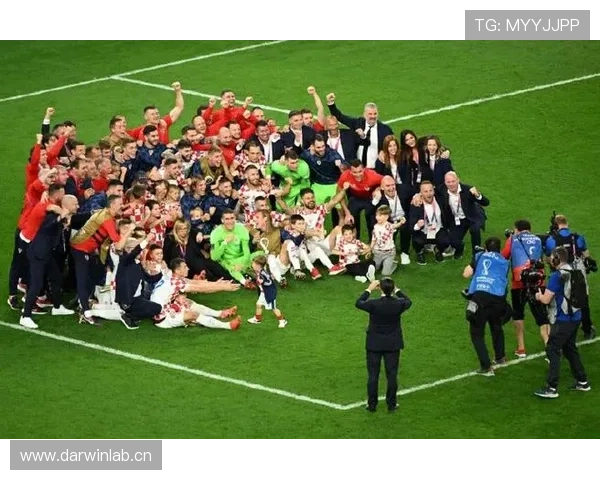 科瓦契奇国家队荣誉:世界杯亚军与季军成员