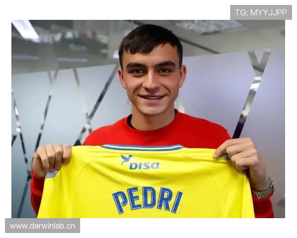 佩德里伤病体质特征及对其职业生涯的潜在影响分析