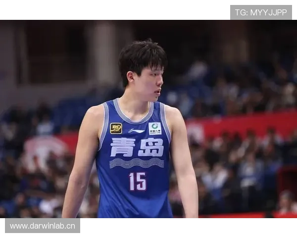 杨瀚森内线高效篮板抢夺拉开与队友禁区威慑差距