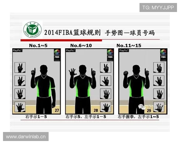 全面解析篮球垂直起跳规则的具体含义与裁判判罚依据
