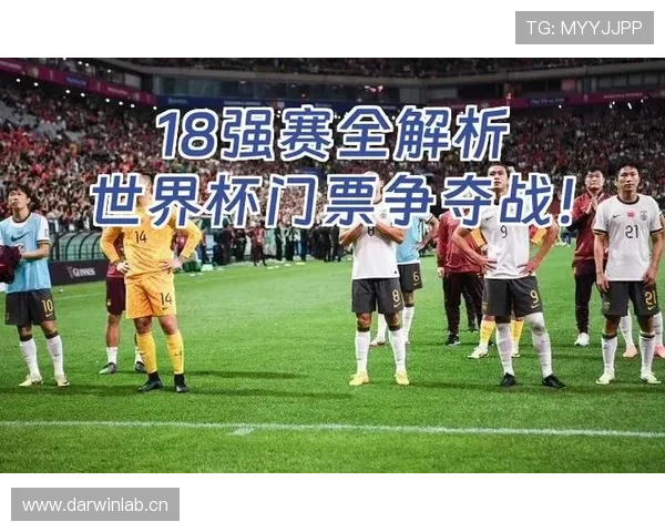 世界杯B组第二名争夺战分析