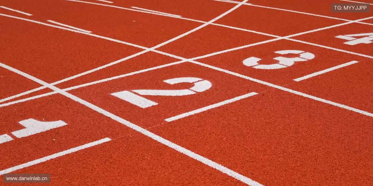 突破极限，超越自我！🏆 赛事直播同步回放，错过的精彩一键补全！